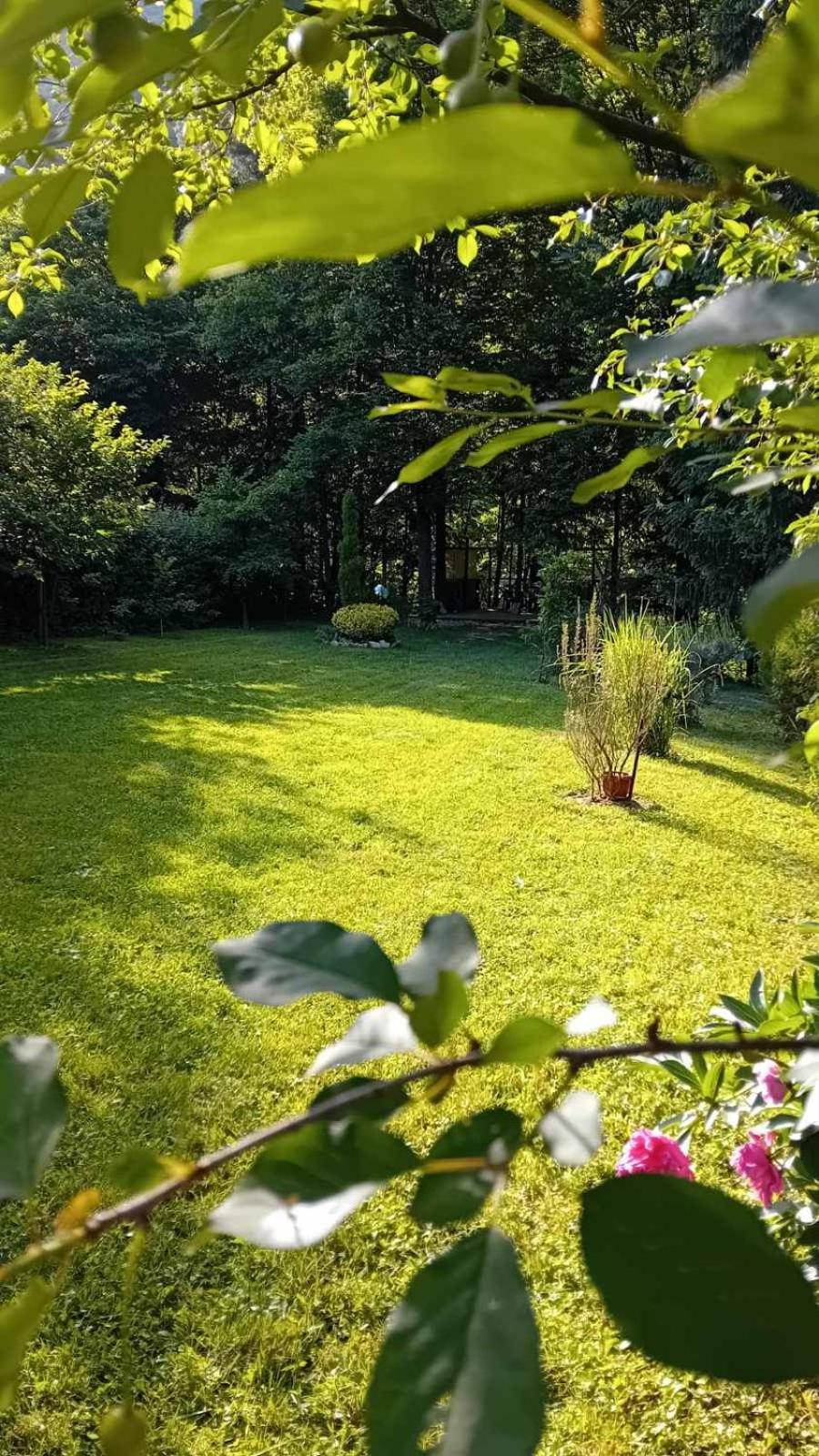 ויסוקו Tammaris Holiday Home מראה חיצוני תמונה