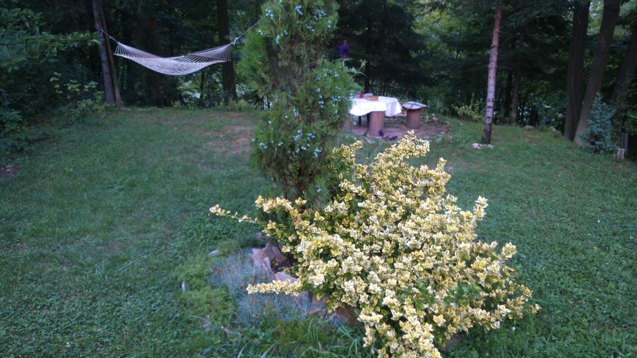 ויסוקו Tammaris Holiday Home מראה חיצוני תמונה