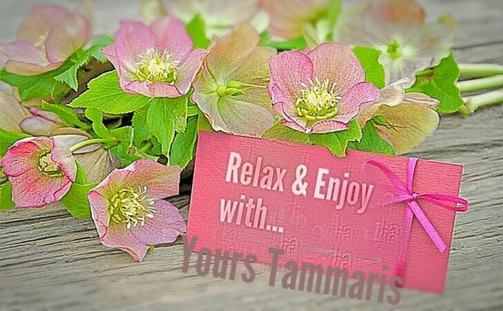 ויסוקו Tammaris Holiday Home מראה חיצוני תמונה
