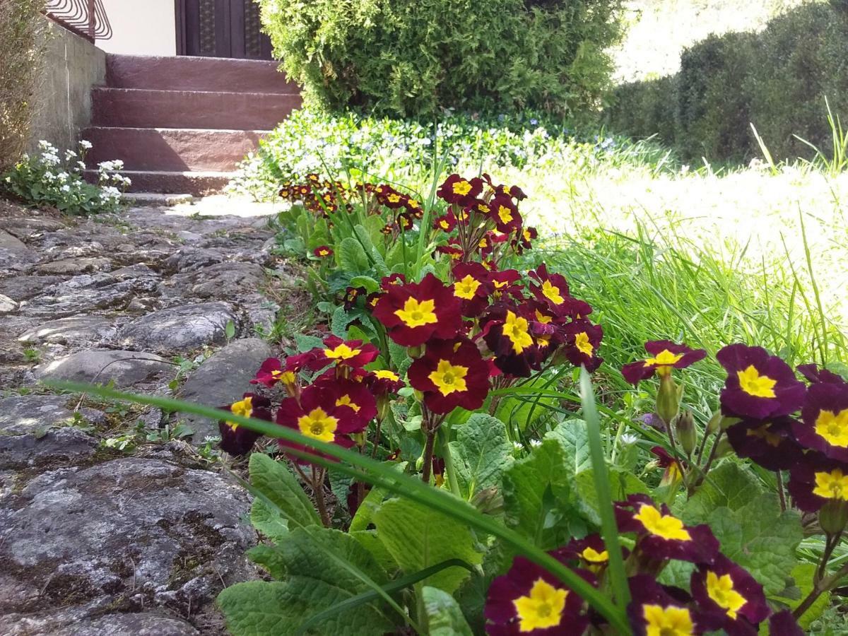 ויסוקו Tammaris Holiday Home מראה חיצוני תמונה